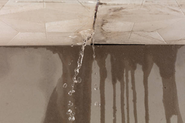 Professional Structural Drying technician working in Bloomington, IN